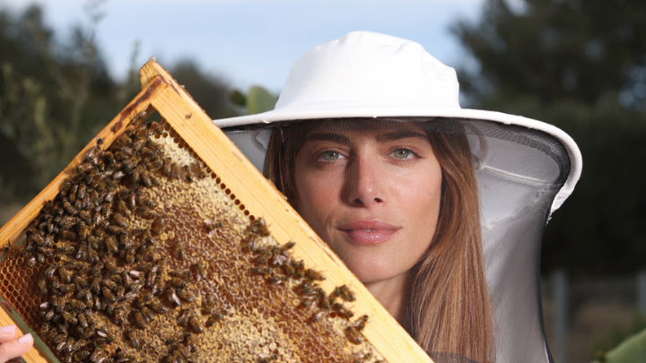 billion bees program