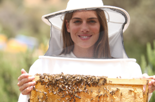 billion bees program apivita